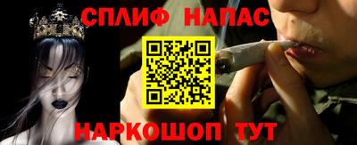 mdpv Можга