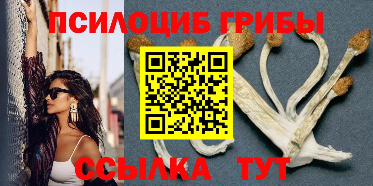 Псилоцибиновые грибы прущие грибы  даркнет сайт  Чусовой  Вход с VPN 